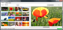 Flickr Mass Wallpaper Downloader screenshot