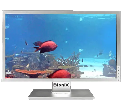 Live wallpaper showing an aquarium GIF